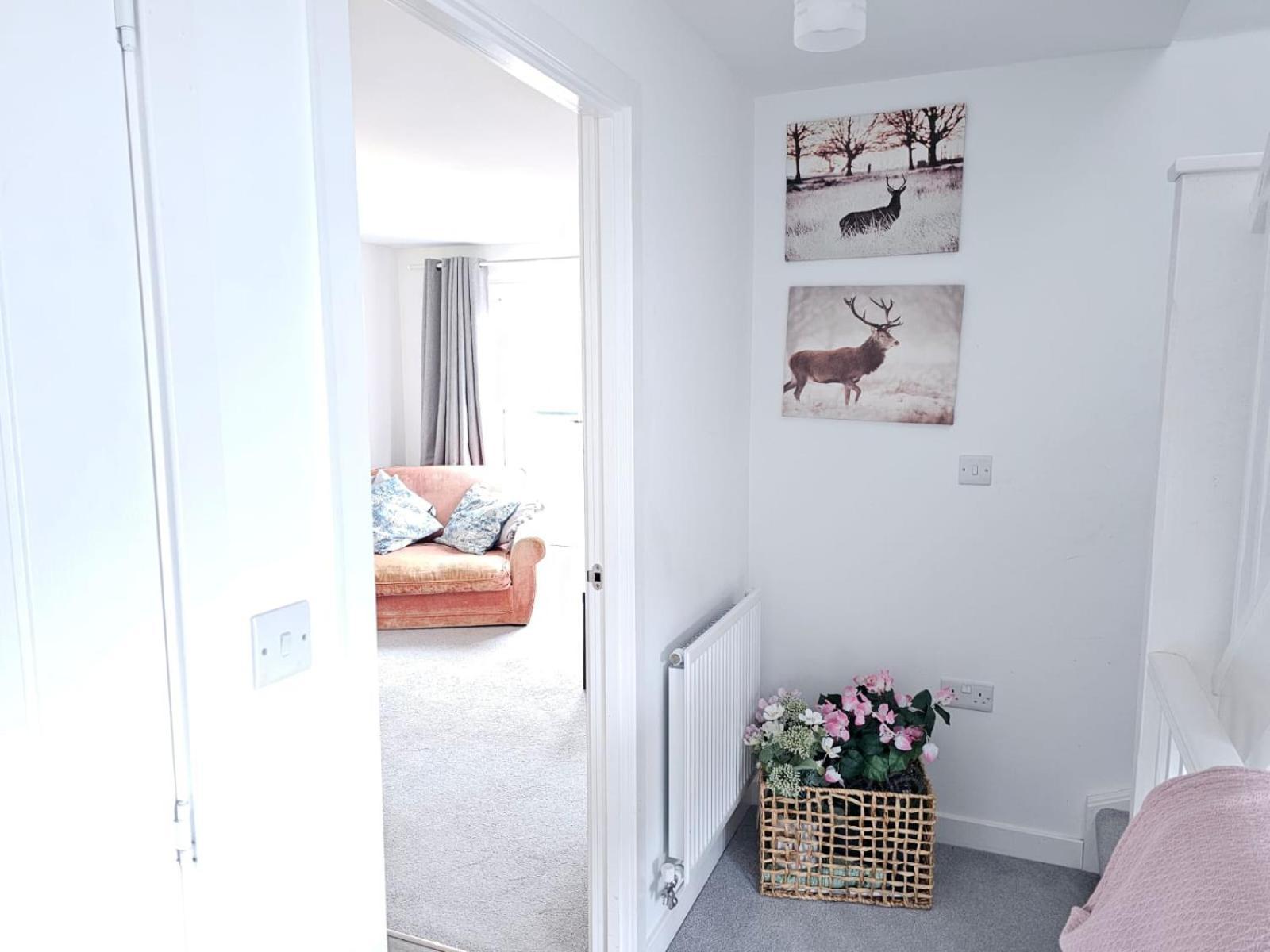 Modern 3 Bedroom Town House Ipswich Exterior foto